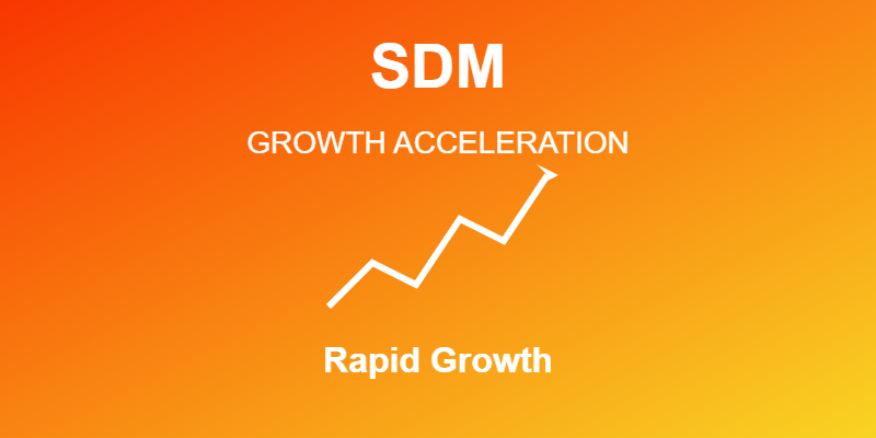 Enterprise Solutions from SDM