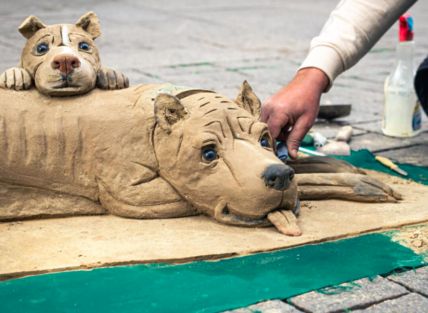 Factors to Consider When Selecting Reliable Animal Cremation Services