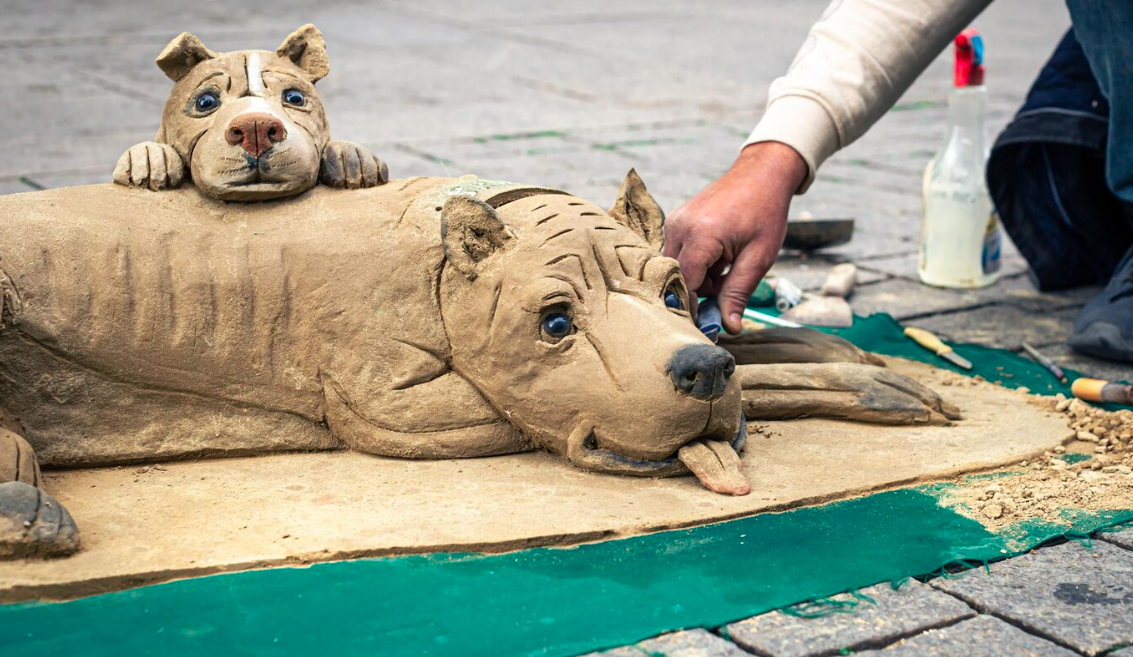 Factors to Consider When Selecting Reliable Animal Cremation Services